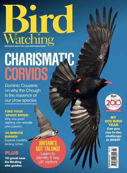 Bird Watching UK — February 2024