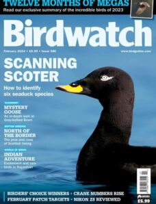 Birdwatch UK – February 2024