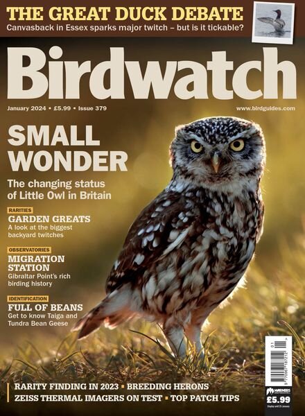Birdwatch UK — January 2024
