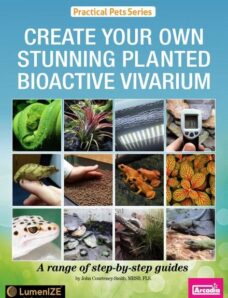 Create Your Own Stunning Planted Bioactive Vivarium – January 2024