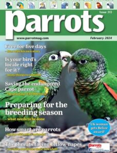 Parrots — February 2024