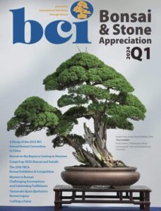 BCI Bonsai & Stone Appreciation Magazine – February 2024