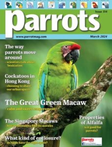 Parrots — March 2024