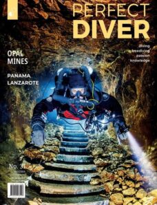 Perfect Diver — January-February 2024