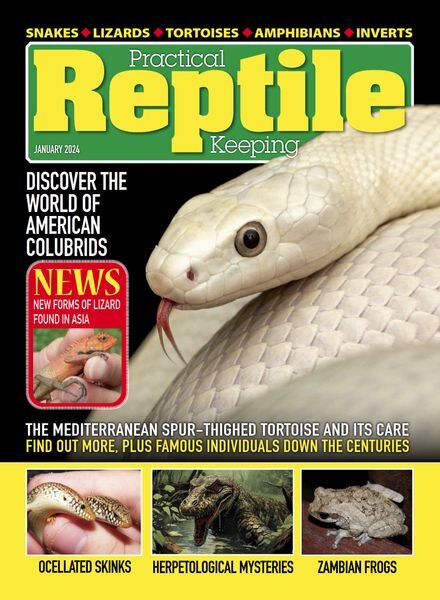 Practical Reptile Keeping — January 2024