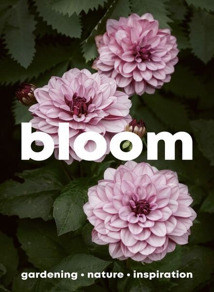 Bloom — Issue 16 — 7 March 2024