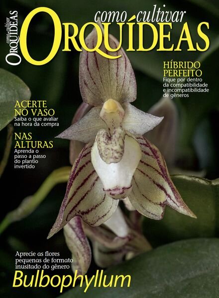 Como Cultivar Orquideas — Abril 2024
