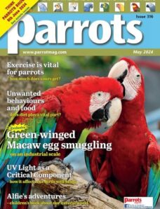 Parrots — May 2024