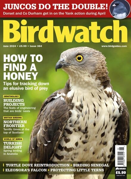 Birdwatch UK — June 2024
