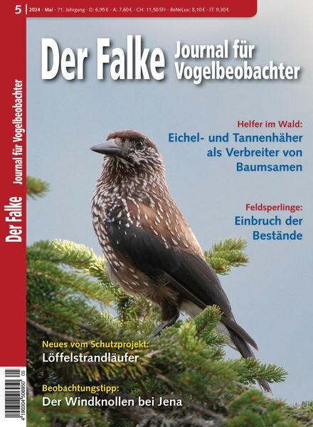 Der Falke Journal fur Vogelbeobachter — Mai 2024