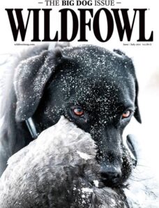 Wildfowl — June-July 2024