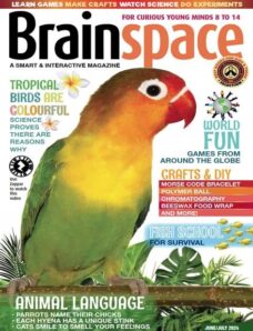 Brainspace – June 2024