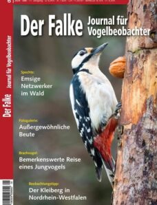Der Falke Journal fur Vogelbeobachter — Juni 2024
