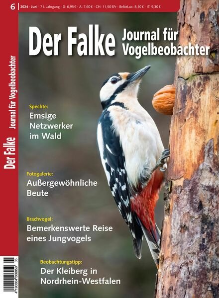 Der Falke Journal fur Vogelbeobachter — Juni 2024
