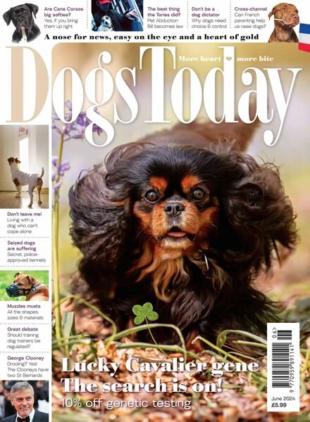 Dogs Today UK — June 2024