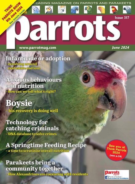 Parrots — June 2024