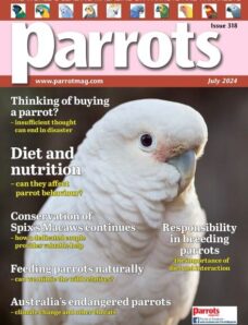 Parrots – July 2024
