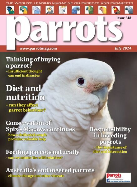 Parrots — July 2024