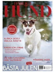 Harliga Hund – November 2025