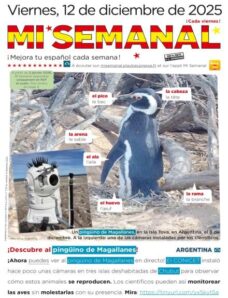 Mi Semanal — 12 Diciembre 2025