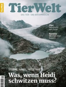 TierWelt – 11 Dezember 2025