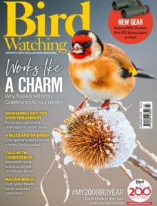 Bird Watching UK – February 2026