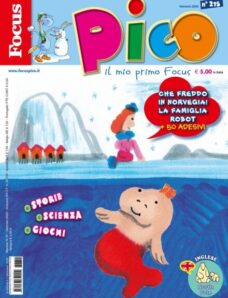 Focus Pico – Gennaio 2026