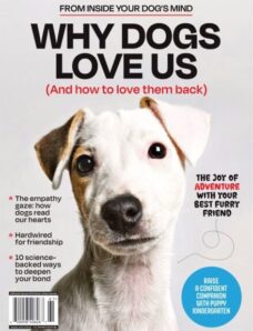 Inside Your Dog’s Mind – Why Dogs Love Us 2025