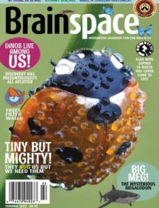 Brainspace — Summer 2022