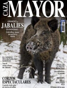 Caza Mayor – 15 Febrero 2026