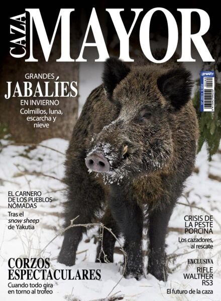 Caza Mayor – 15 Febrero 2026