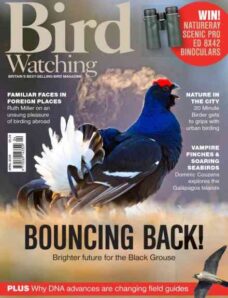 Bird Watching UK – April 2026