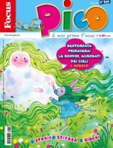 Focus Pico – Marzo 2026