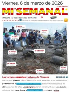 Mi Semanal — 6 Marzo 2026