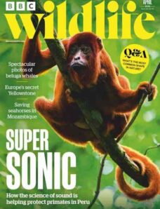 BBC Wildlife – April 2026