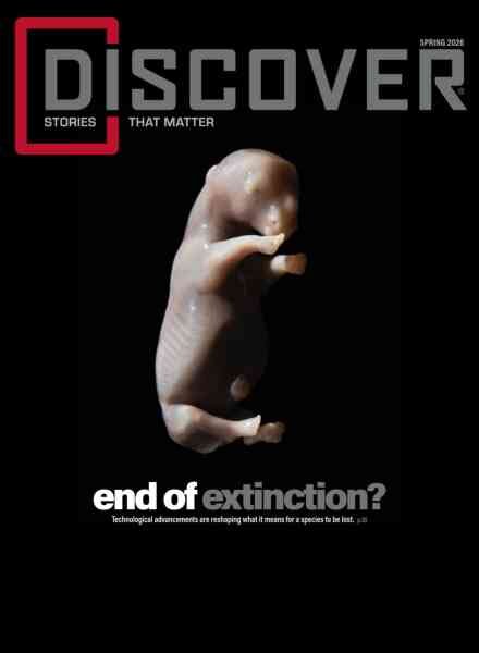 Discover – Spring 2026