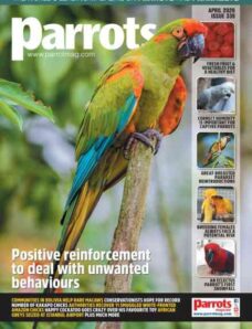Parrots – April 2026