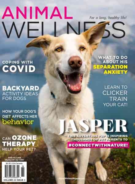 Animal Wellness – June-July 2020