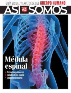 Asi Somos El cuerpo humano – Mayo 2026