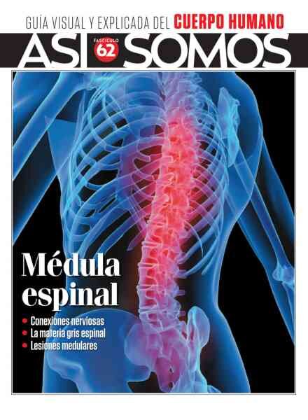 Asi Somos El cuerpo humano – Mayo 2026