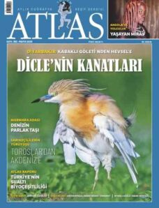 Atlas – 1 Mayis 2026