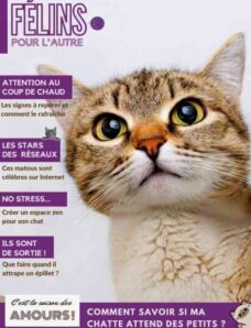 Felins pour l’autre – 5 Mai 2026