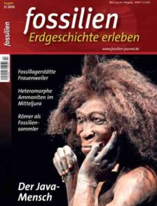 Fossilien – Mai-Juni 2026