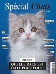 Special Chats – Fevrier 2026