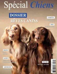 Special Chiens – Fevrier 2026