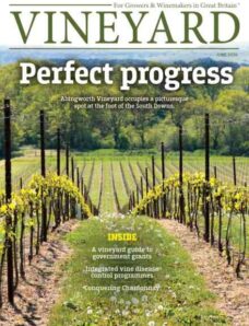 Vineyard — June 2026